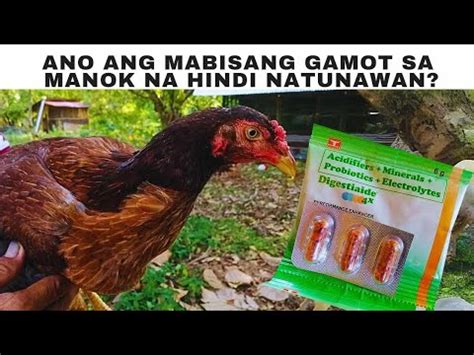 anong gamot sa manok na hindi natunawan